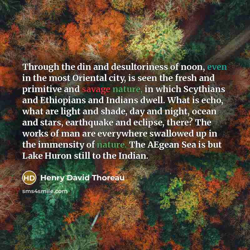 “Through the din and desultoriness of noon, even in the…” quote by Henry David Thoreau
