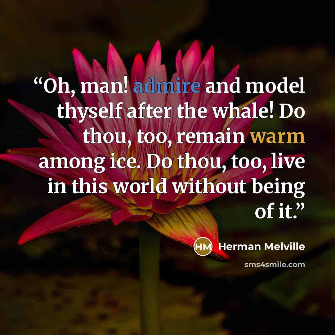 “Oh, man! admire and model thyself after the whale! Do thou, too, remain warm among ice. Do thou, too, live in this world without being of it.” quote by Herman Melville