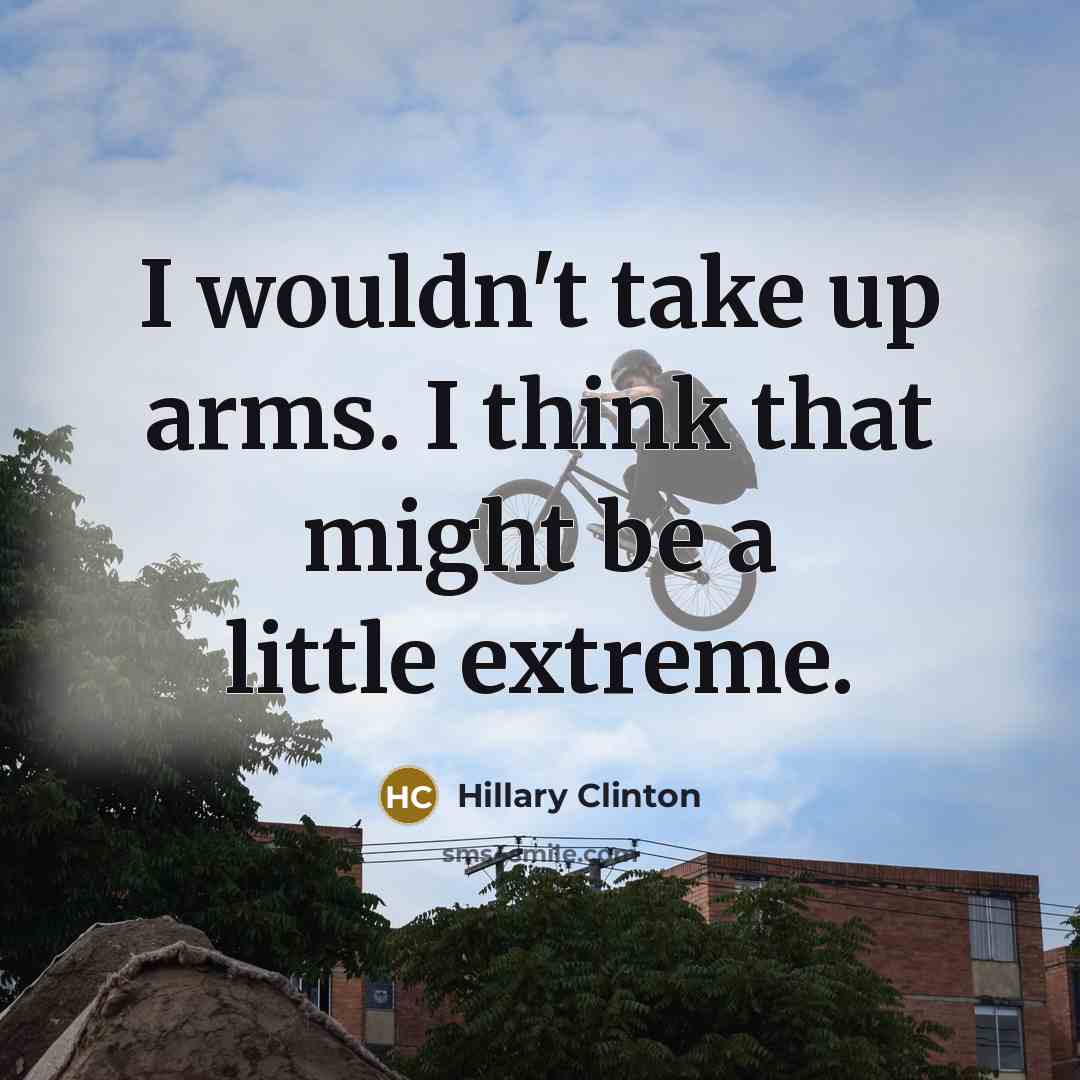 “I wouldn't take up arms. I think that might be…” quote by Hillary Clinton