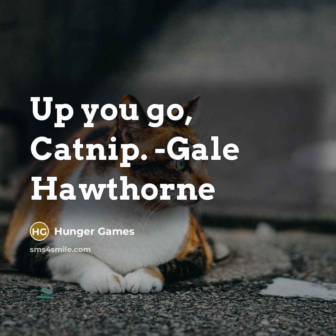 “Up you go, Catnip. -Gale Hawthorne” quote by Hunger Games