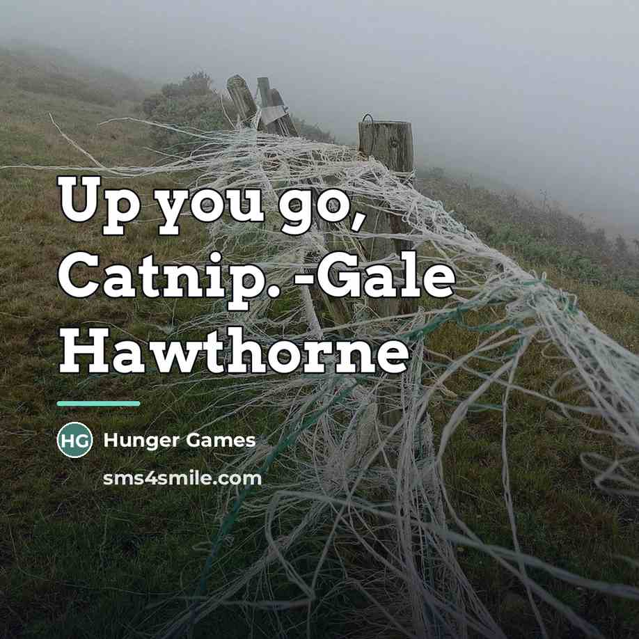 “Up you go, Catnip. -Gale Hawthorne…” quote by Hunger Games