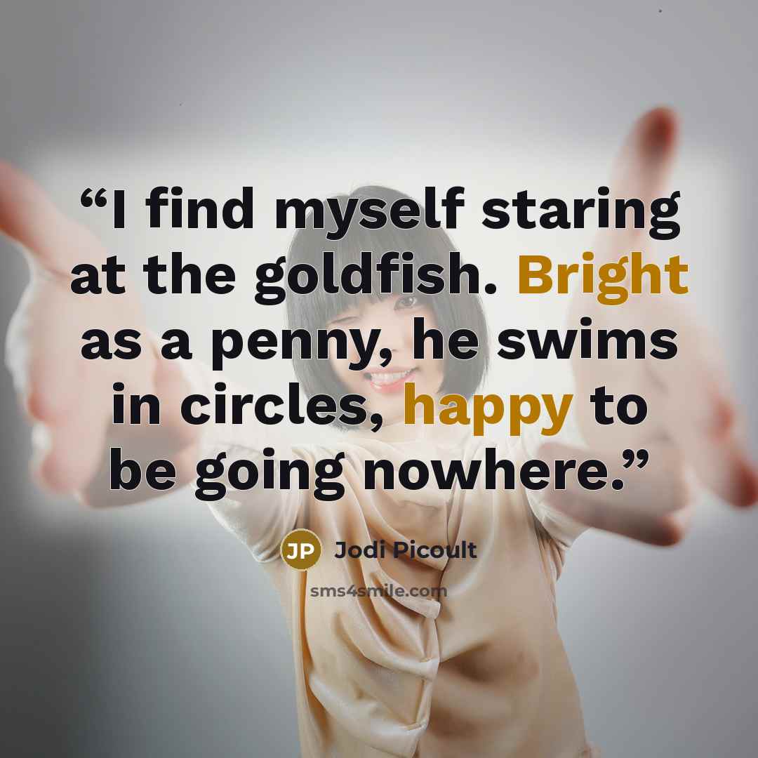 “I find myself staring at the goldfish. Bright as a penny, he swims in circles, happy to be going nowhere.” quote by Jodi Picoult