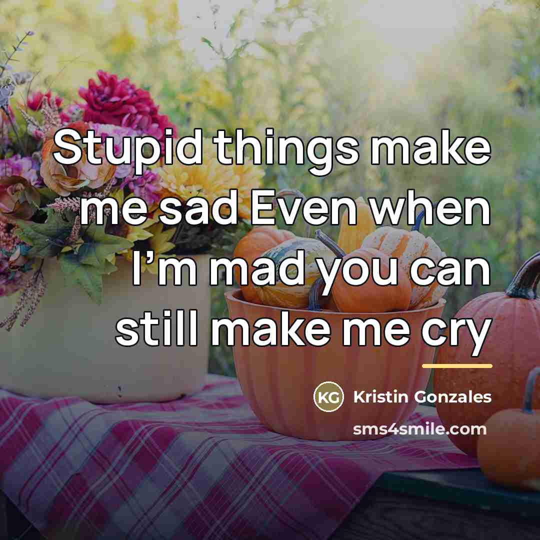 “Stupid things make me sad Even when I'm mad you…” quote by Kristin Gonzales