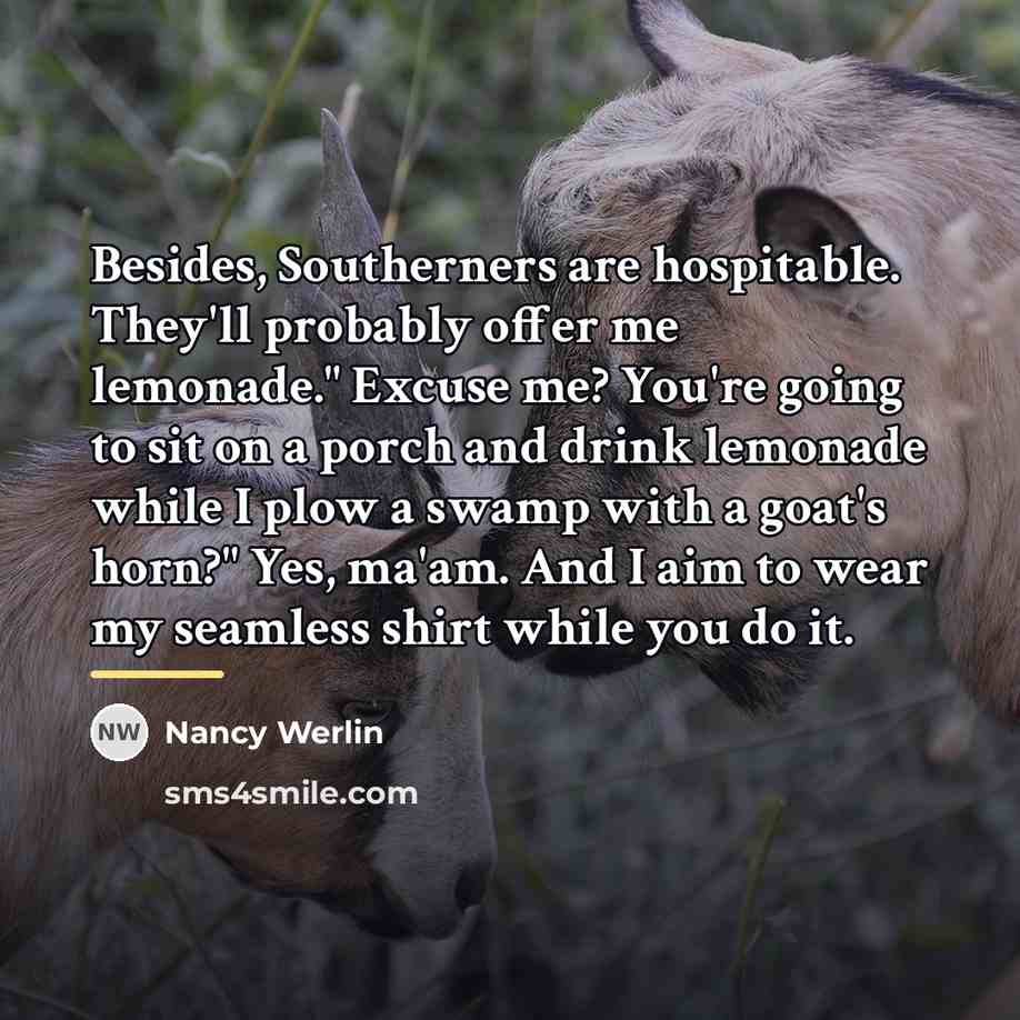 “Besides, Southerners are hospitable. They'll probably offer me lemonade." Excuse…” quote by Nancy Werlin
