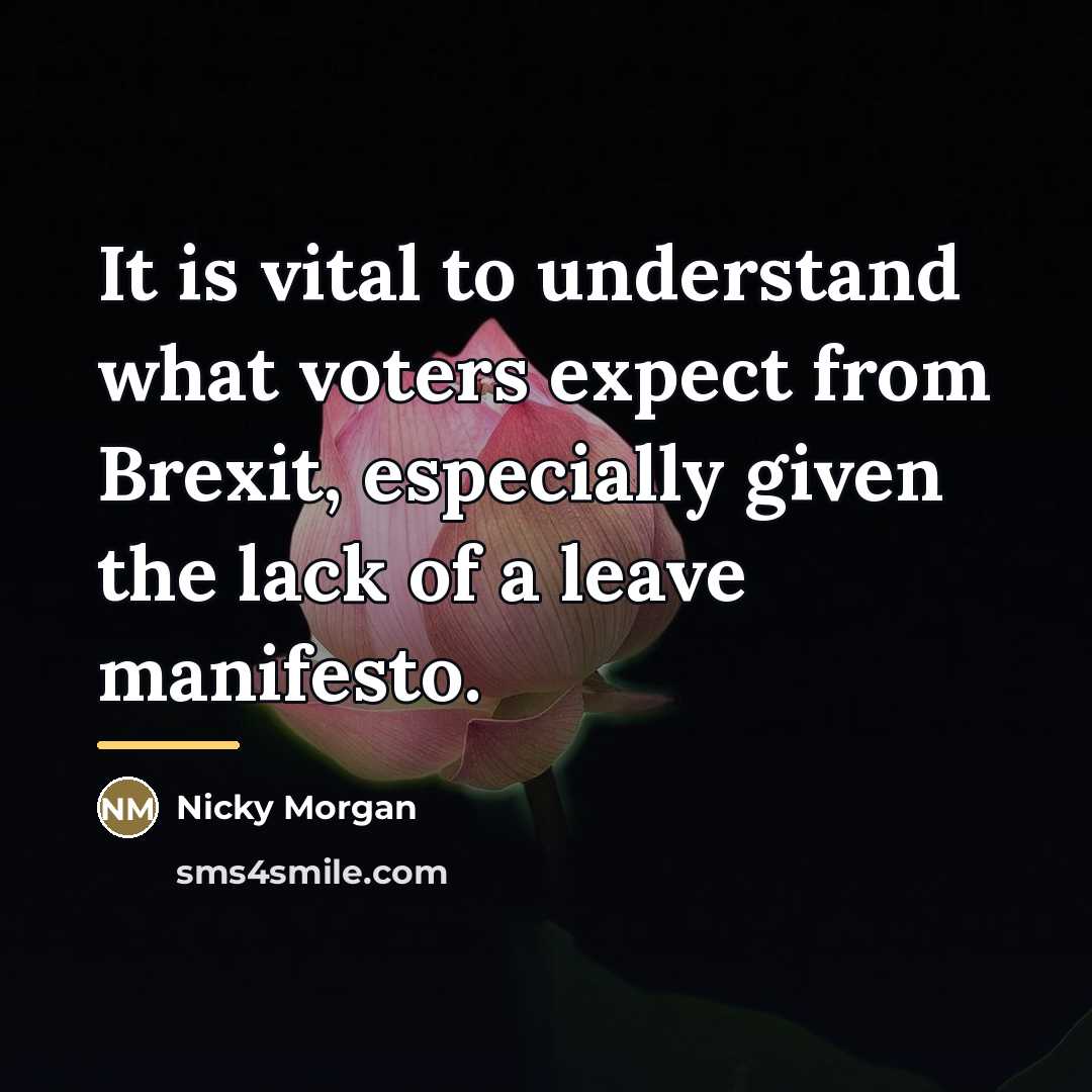 “It is vital to understand what voters expect from Brexit,…” quote by Nicky Morgan