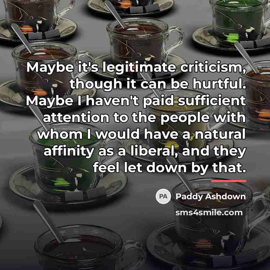 “Maybe it's legitimate criticism, though it can be hurtful. Maybe…” quote by Paddy Ashdown