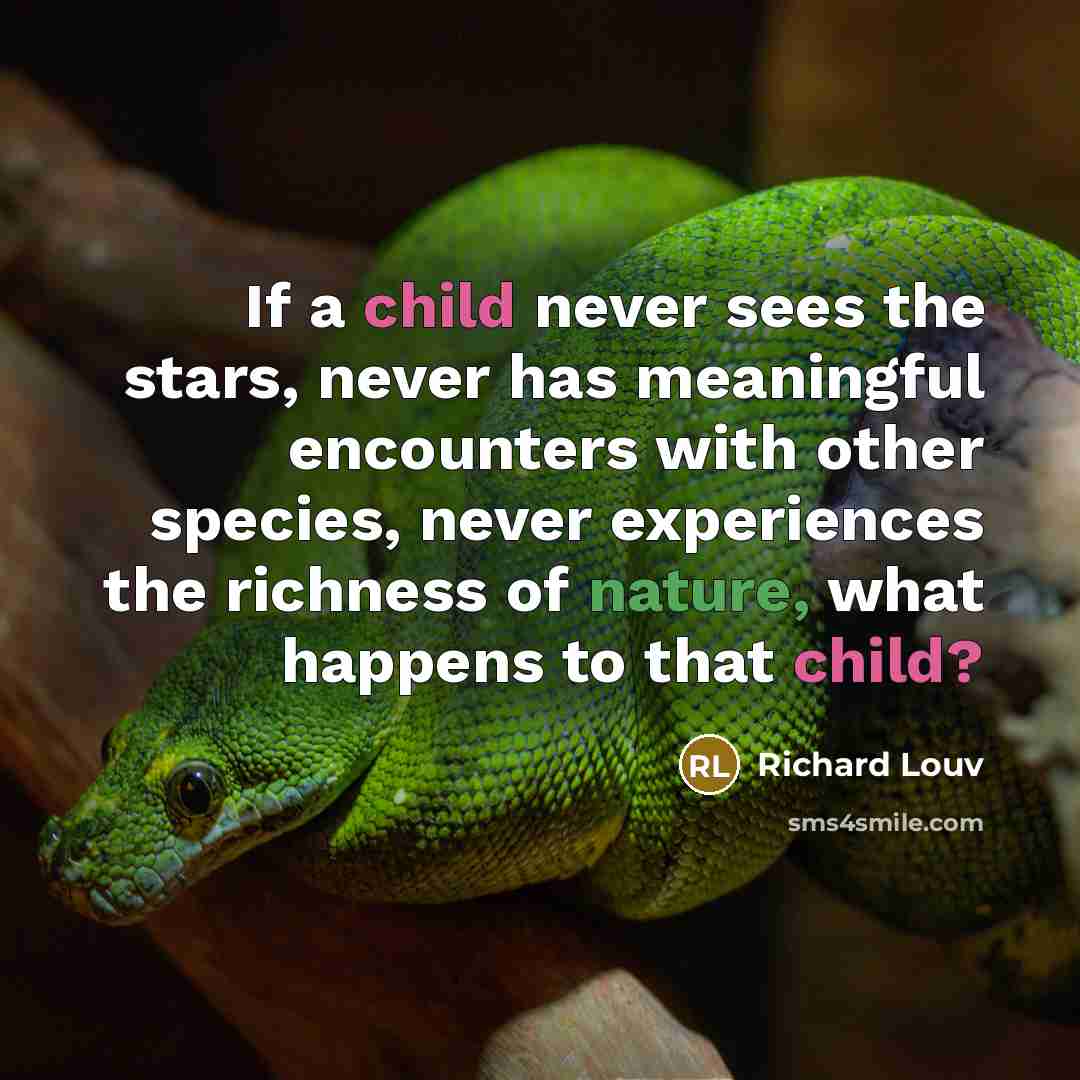“If a child never sees the stars, never has meaningful…” quote by Richard Louv