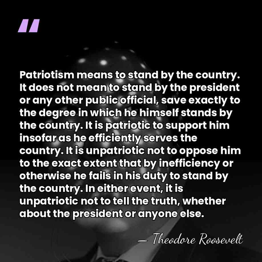 Patriotism means to stand by the country. It does not mean to&hellip; - Theodore Roosevelt