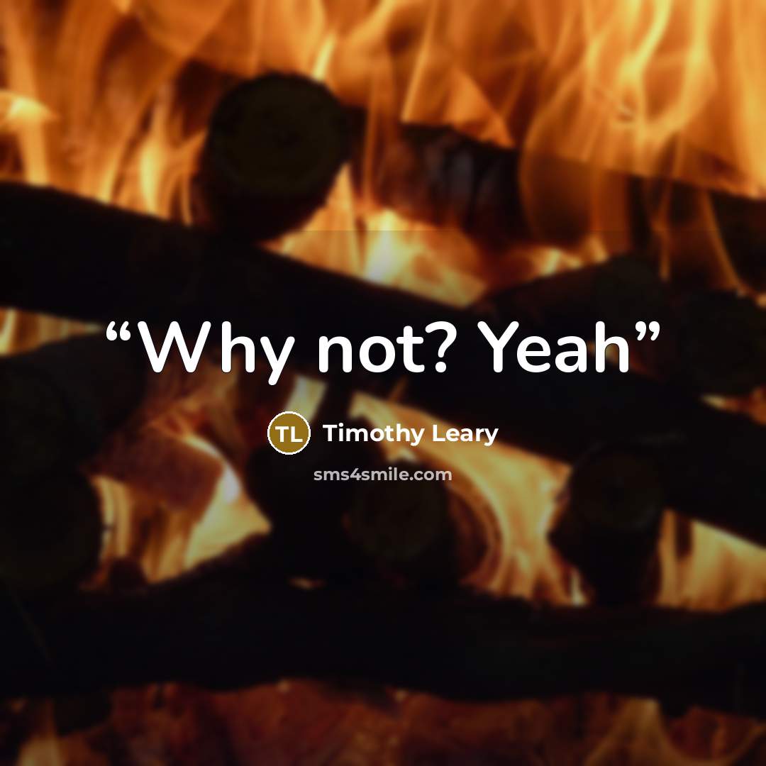 “Why not? Yeah” quote by Timothy Leary