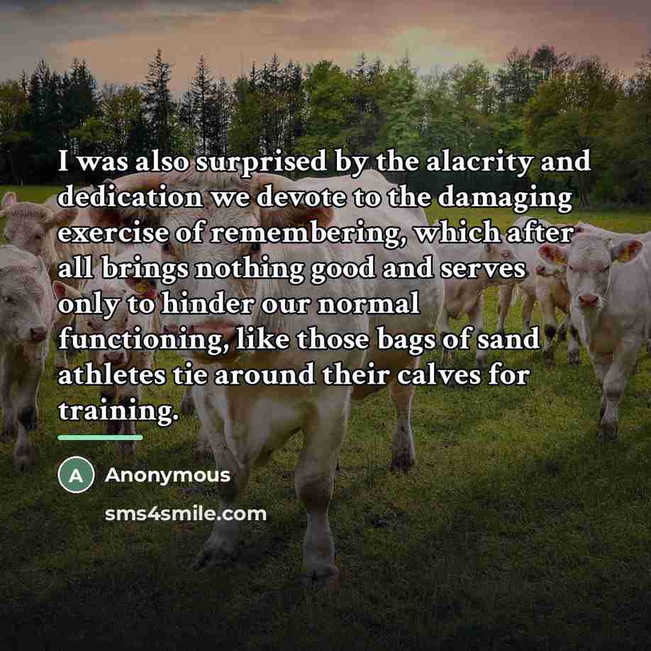 “I was also surprised by the alacrity and dedication we…” quote by Anonymous