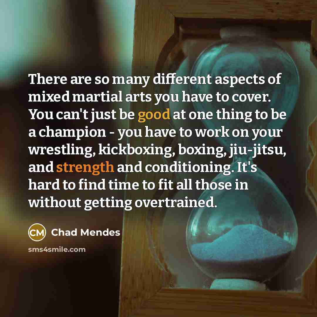 “There are so many different aspects of mixed martial arts…” quote by Chad Mendes