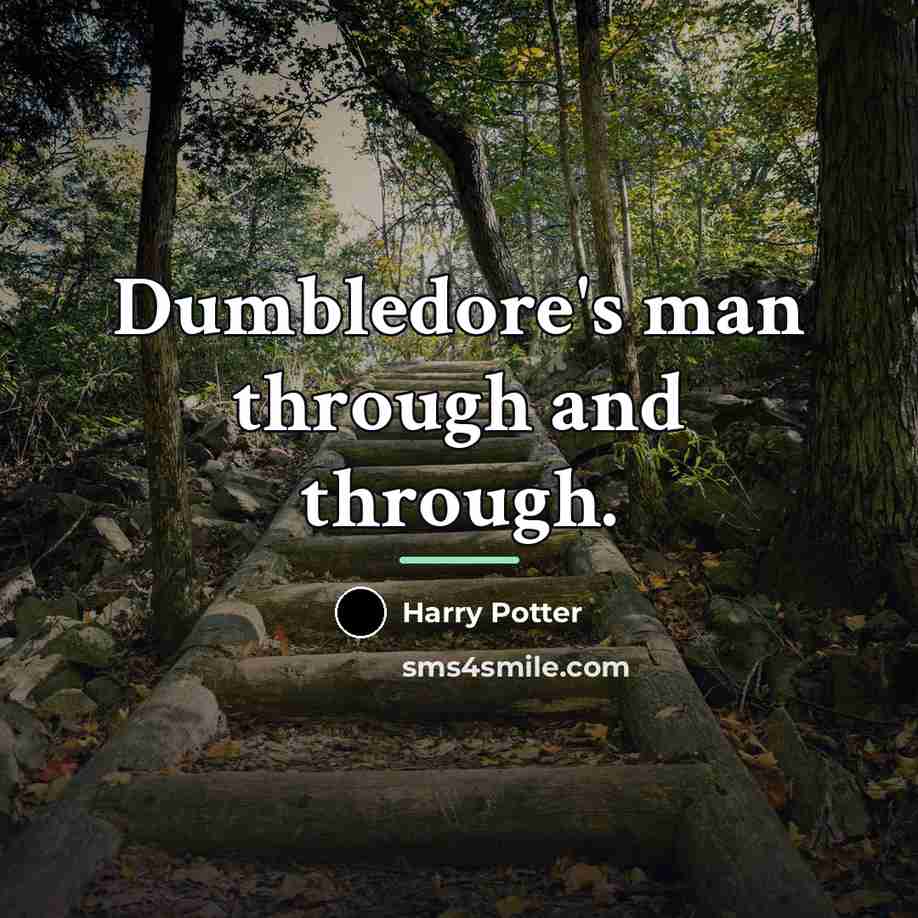 “Dumbledore's man through and through.…” quote by Harry Potter