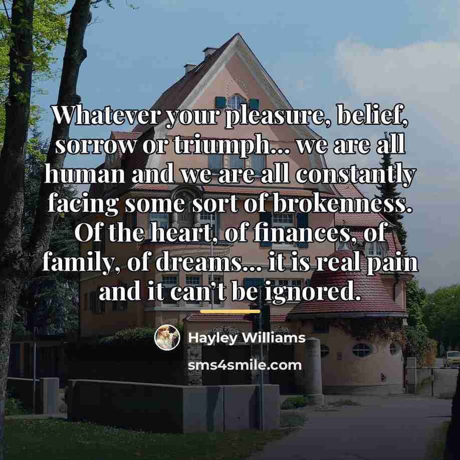 “Whatever your pleasure, belief, sorrow or triumph... we are all…” quote by Hayley Williams