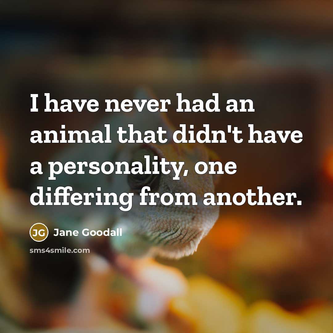 “I have never had an animal that didn't have a…” quote by Jane Goodall