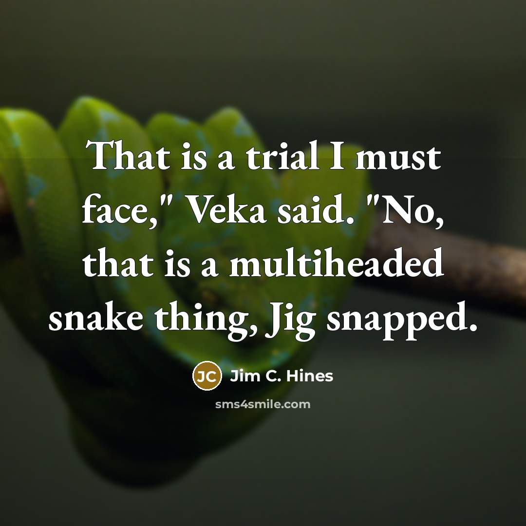 “That is a trial I must face," Veka said. "No,…” quote by Jim C. Hines