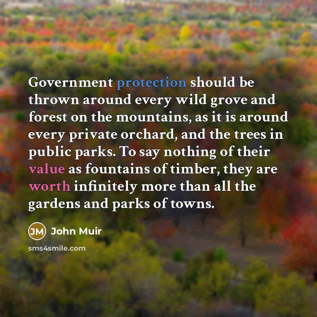 “Government protection should be thrown around every wild grove and forest on the mountains, as it is around every private orchard, and the trees in public parks. To say nothing of their value as fountains of timber, they are worth infinitely more than all the gardens and parks of towns.” quote by John Muir