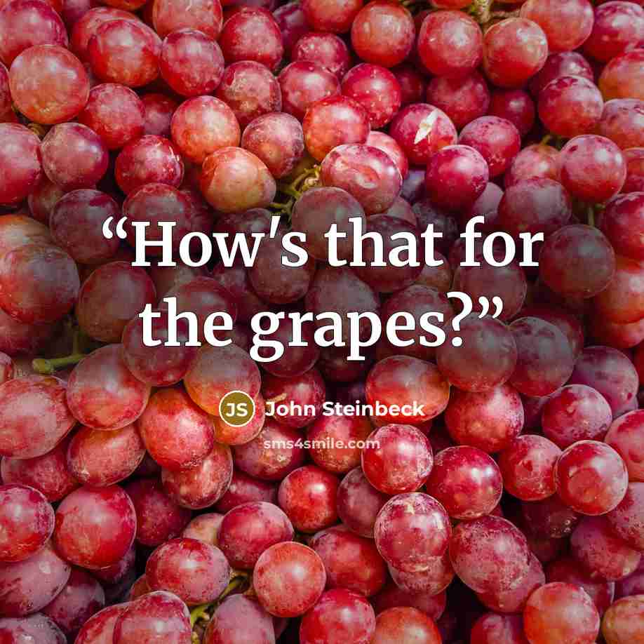 “How's that for the grapes?” quote by John Steinbeck