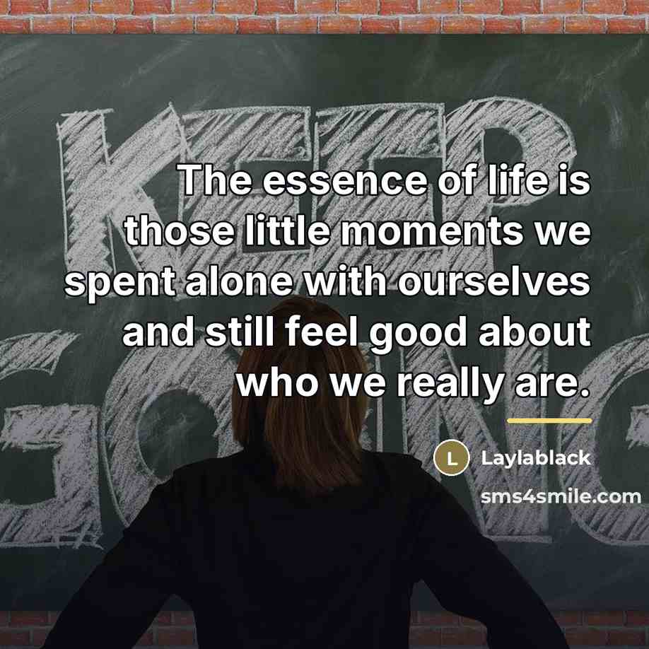 “The essence of life is those little moments we spent…” quote by Laylablack