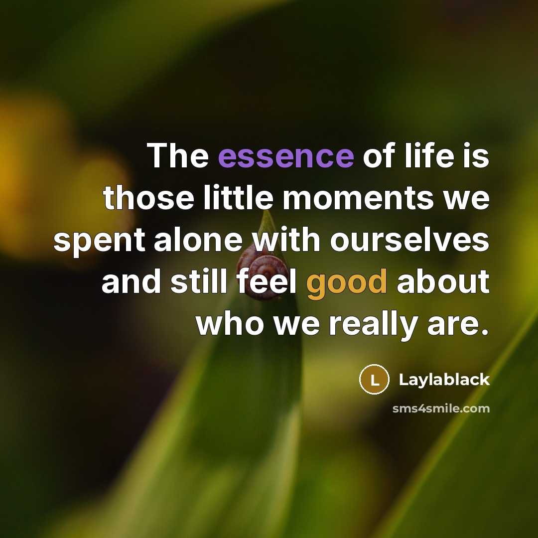 “The essence of life is those little moments we spent alone with ourselves and still feel good about who we really are.” quote by Laylablack
