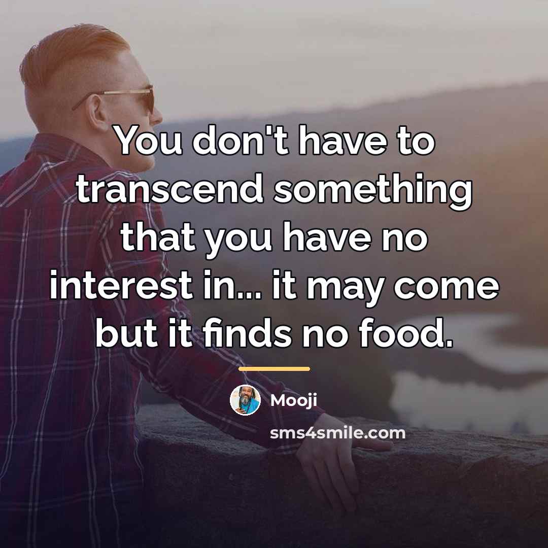“You don't have to transcend something that you have no…” quote by Mooji