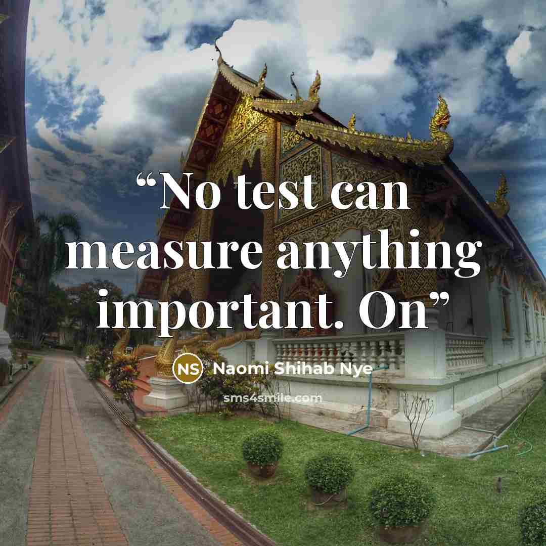 “No test can measure anything important. On” quote by Naomi Shihab Nye