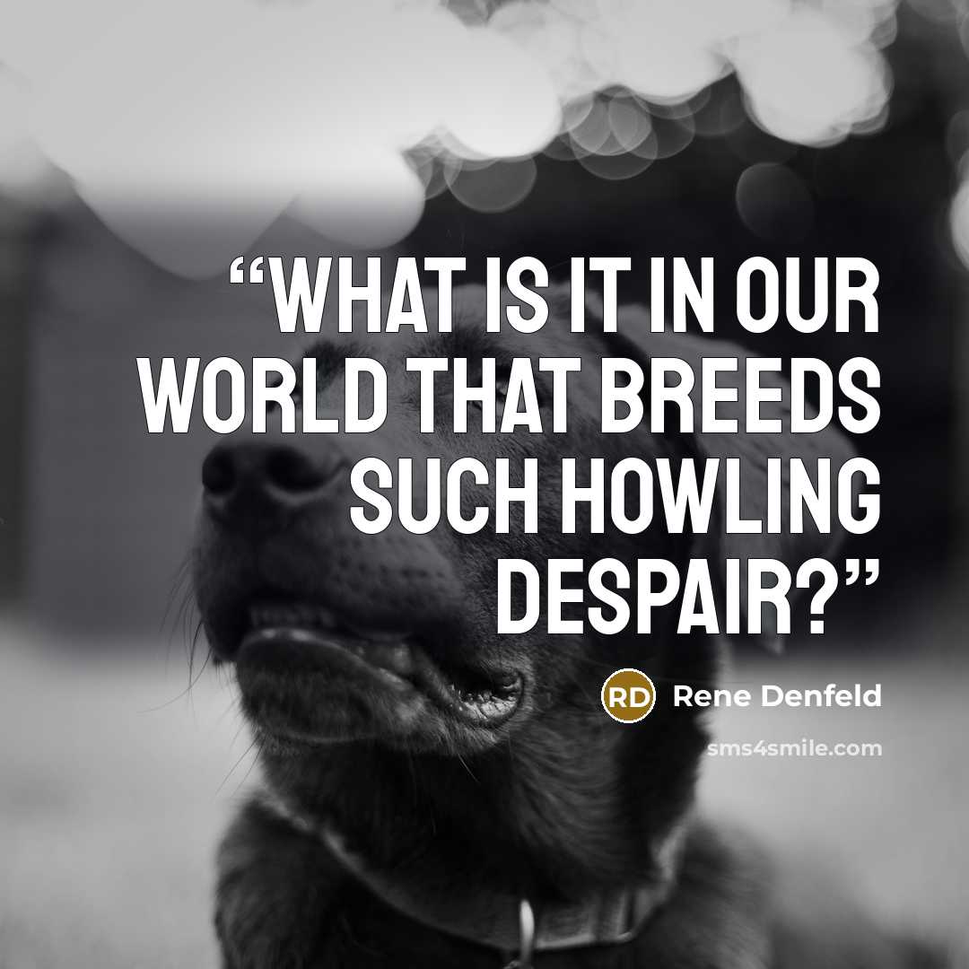 “What is it in our world that breeds such howling despair?” quote by Rene Denfeld