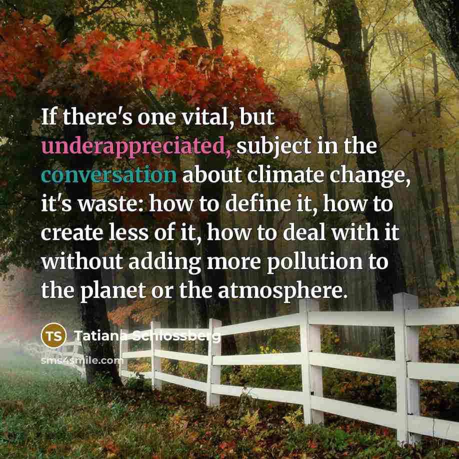 “If there's one vital, but underappreciated, subject in the conversation…” quote by Tatiana Schlossberg