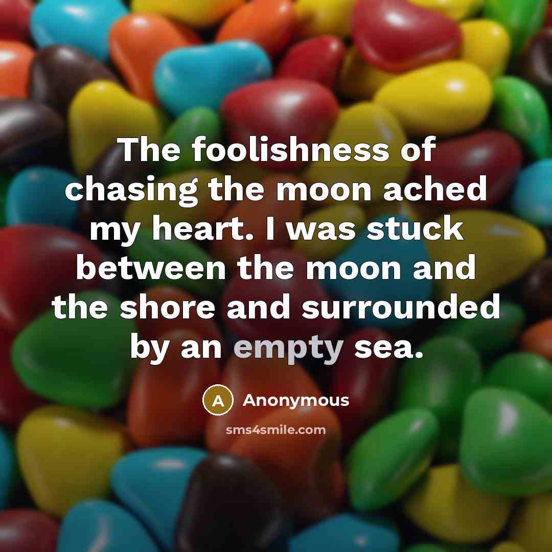 “The foolishness of chasing the moon ached my heart. I…” quote by Anonymous