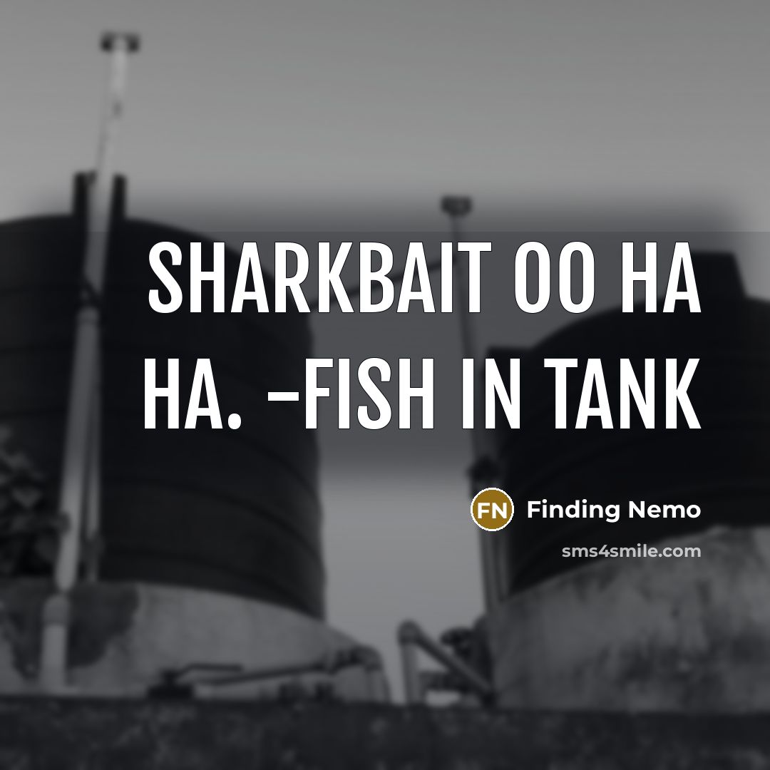 “Sharkbait OO HA HA. -Fish in Tank” quote by Finding Nemo