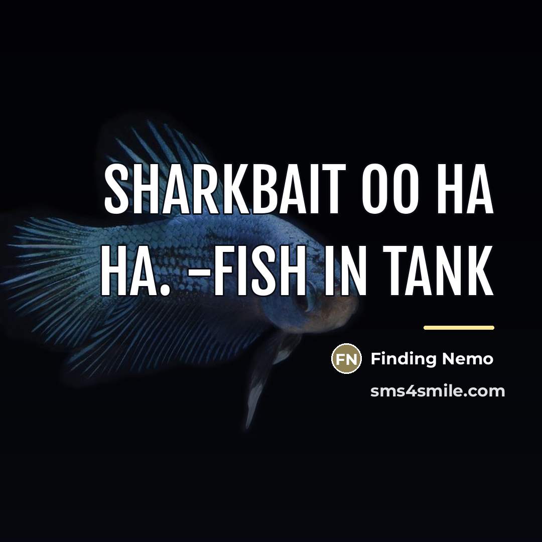 “Sharkbait OO HA HA. -Fish in Tank…” quote by Finding Nemo