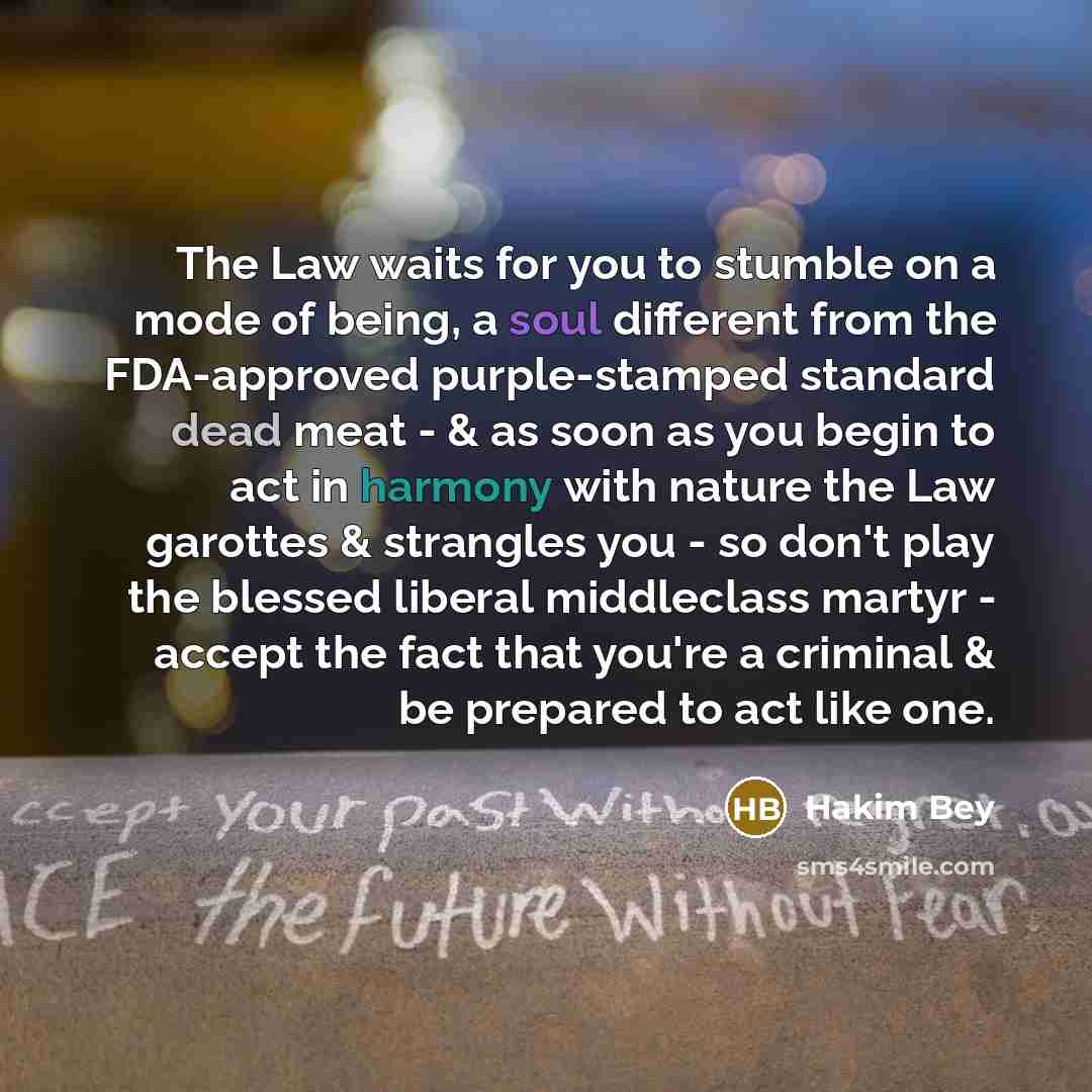 “The Law waits for you to stumble on a mode…” quote by Hakim Bey