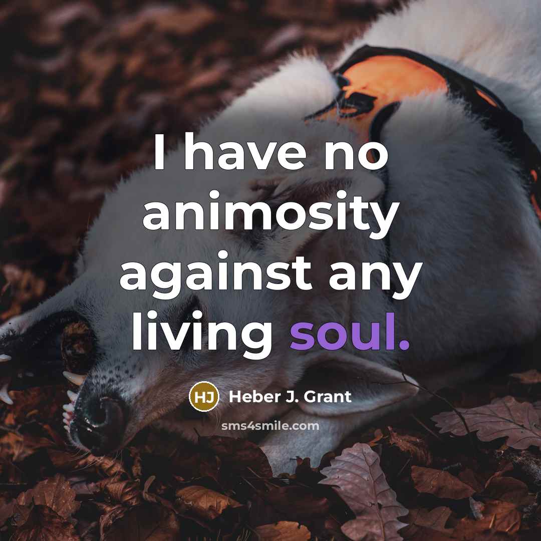 “I have no animosity against any living soul.…” quote by Heber J. Grant