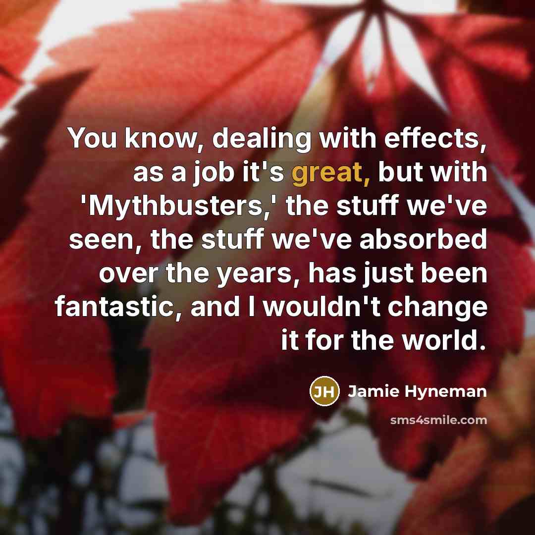 “You know, dealing with effects, as a job it's great,…” quote by Jamie Hyneman