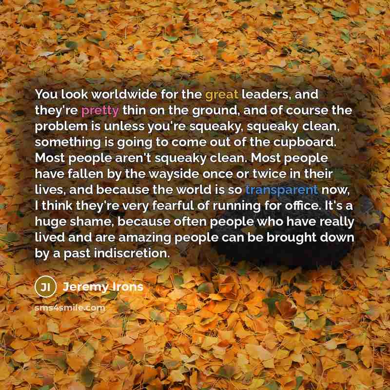“You look worldwide for the great leaders, and they're pretty…” quote by Jeremy Irons