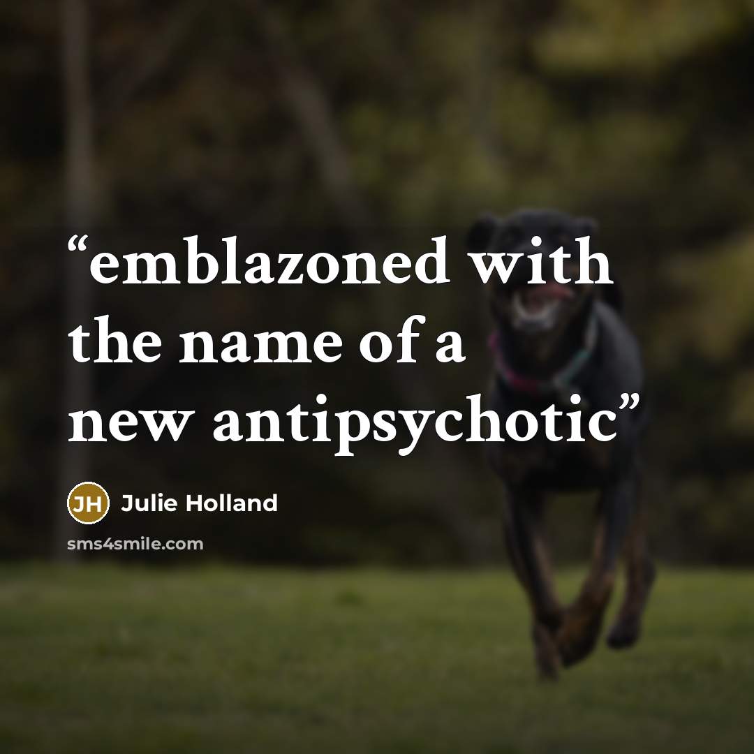 “emblazoned with the name of a new antipsychotic” quote by Julie Holland