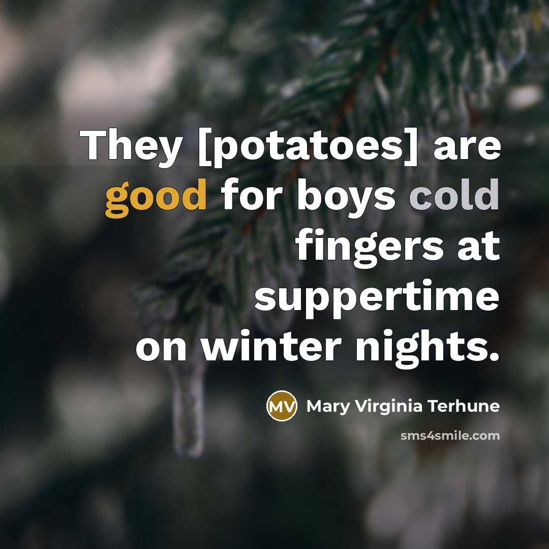 “They [potatoes] are good for boys cold fingers at suppertime…” quote by Mary Virginia Terhune