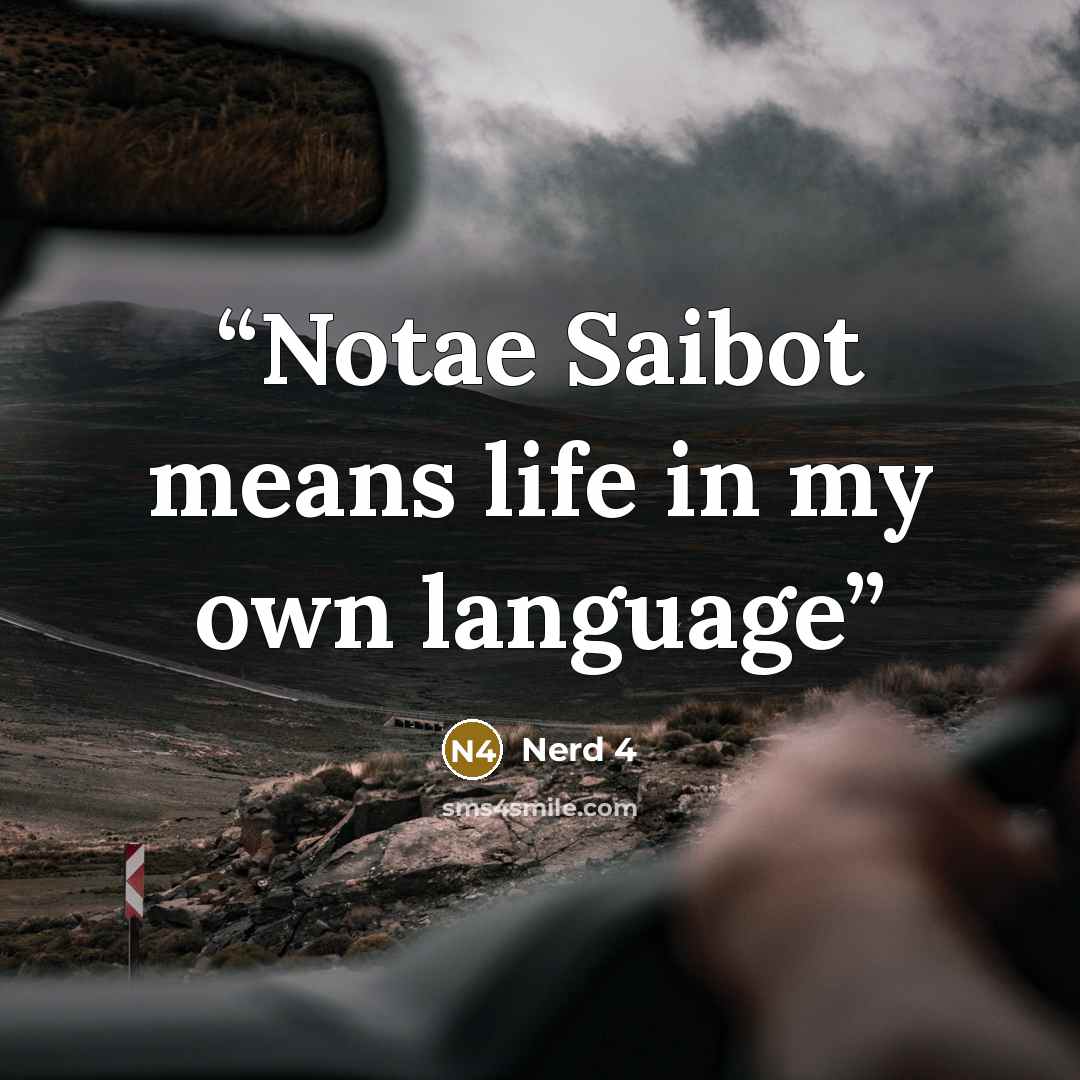 “Notae Saibot means life in my own language” quote by Nerd 4