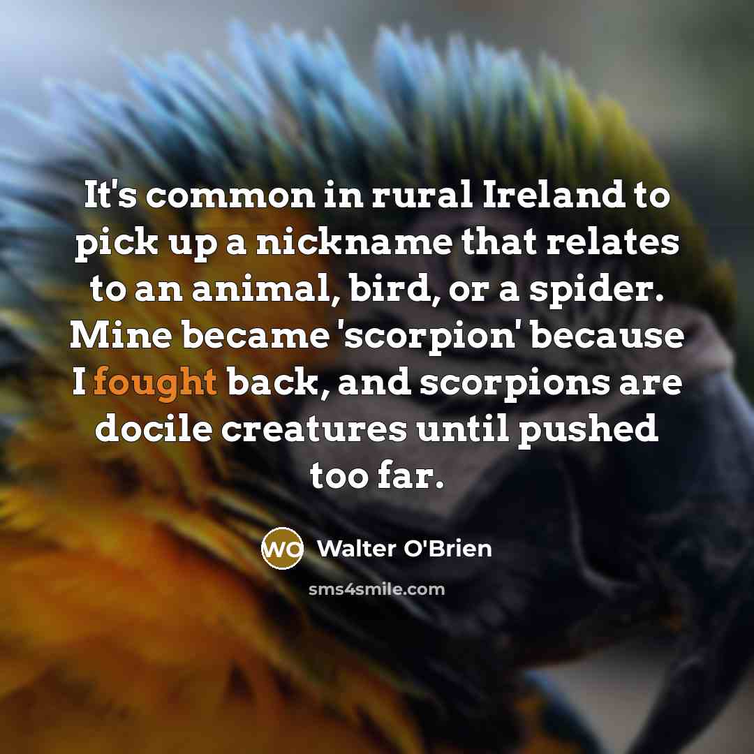 “It's common in rural Ireland to pick up a nickname…” quote by Walter O'Brien