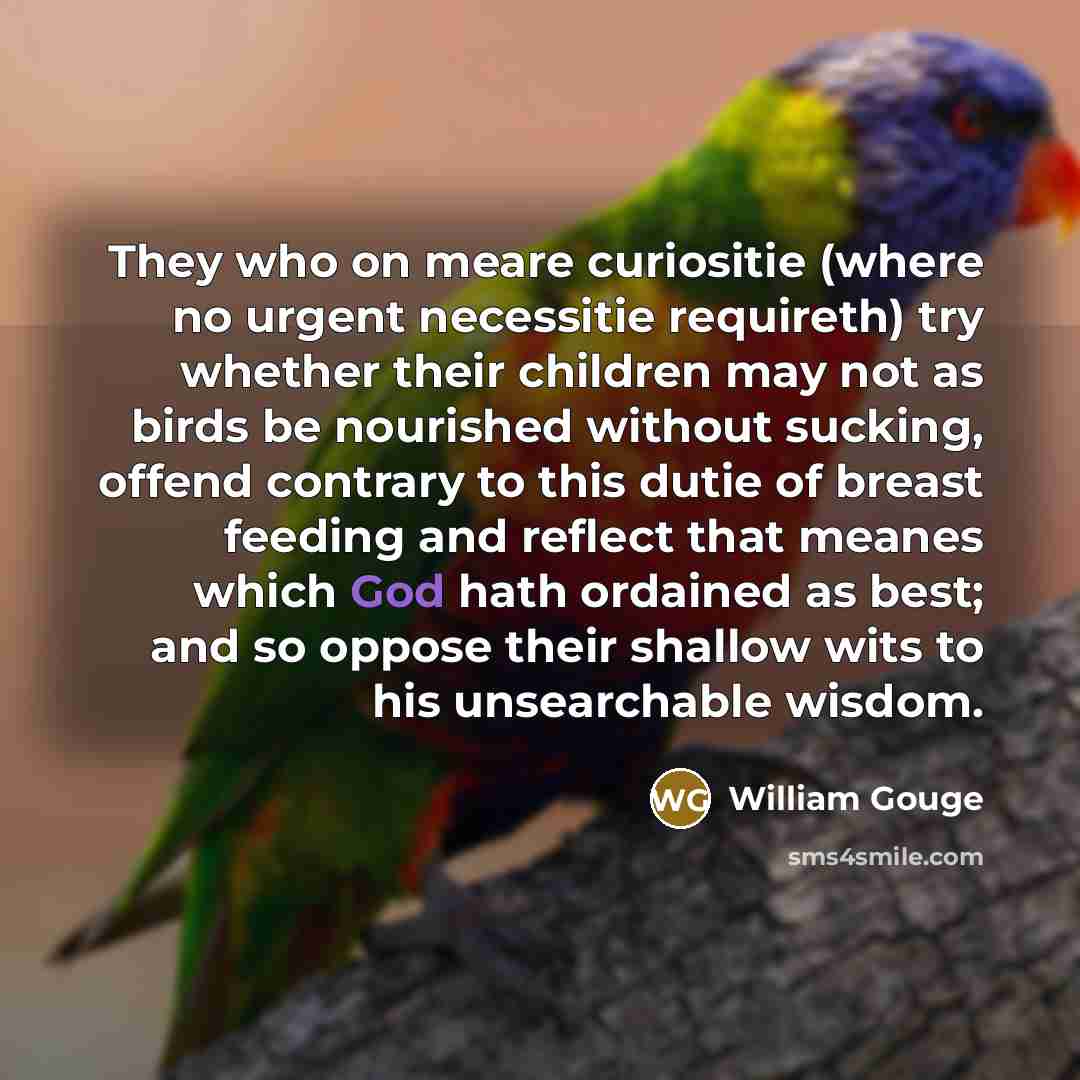 “They who on meare curiositie (where no urgent necessitie requireth)…” quote by William Gouge