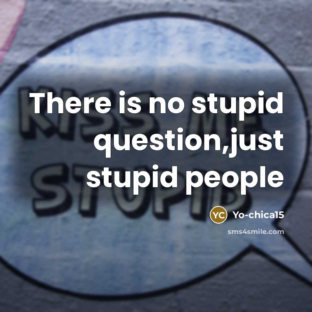 “There is no stupid question,just stupid people…” quote by Yo-chica15