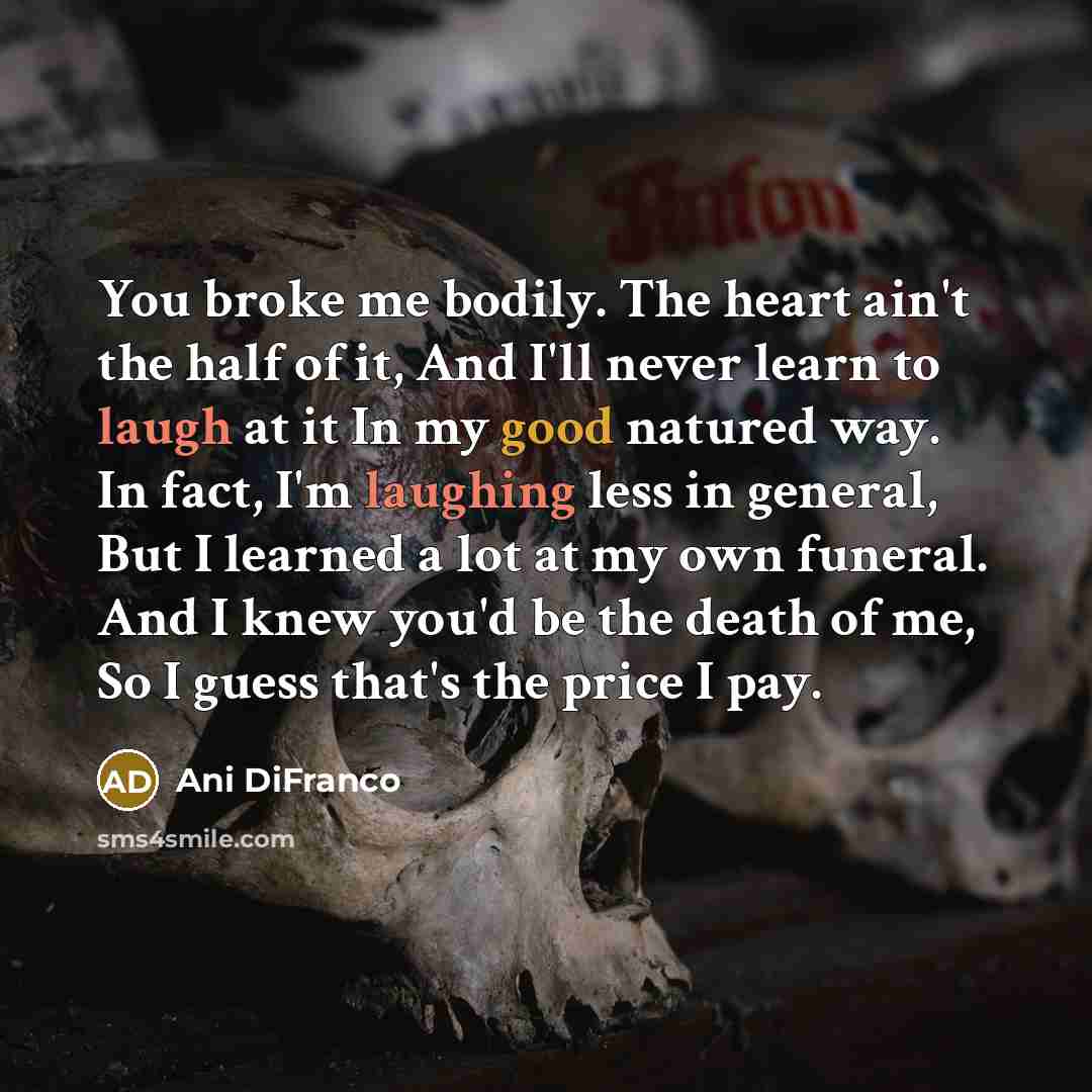 “You broke me bodily. The heart ain't the half of…” quote by Ani DiFranco