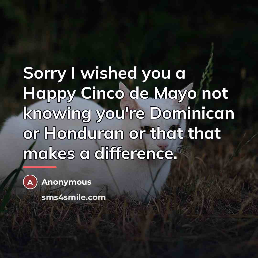 “Sorry I wished you a Happy Cinco de Mayo not…” quote by Anonymous