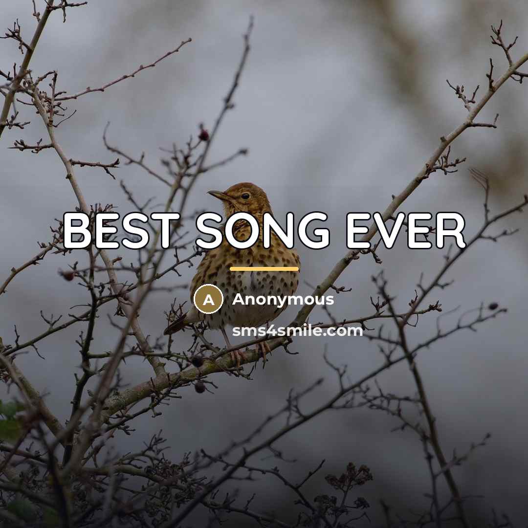 “BEST SONG EVER…” quote by Anonymous