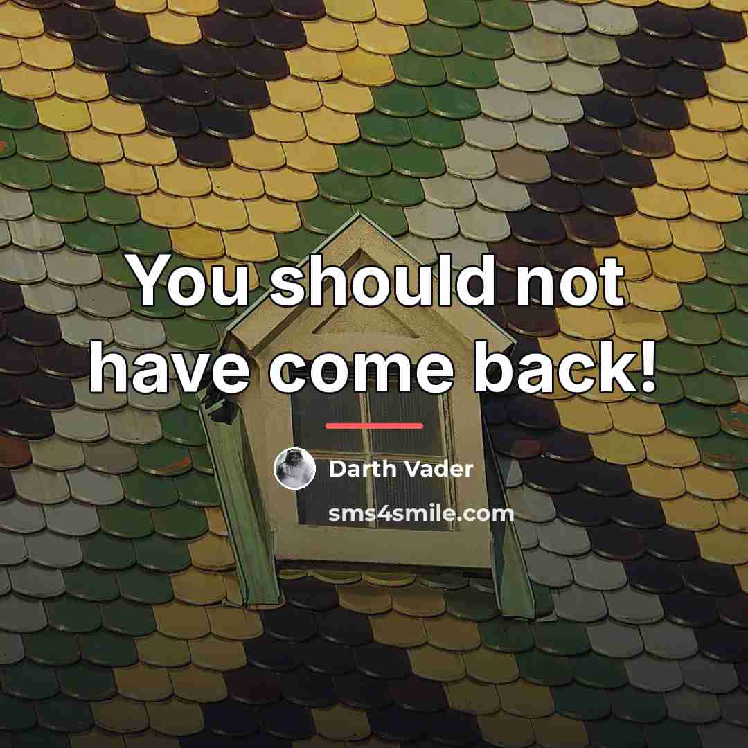 “You should not have come back!…” quote by Darth Vader