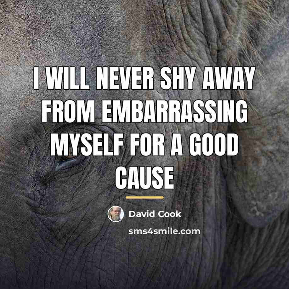 “I will never shy away from embarrassing myself for a…” quote by David Cook