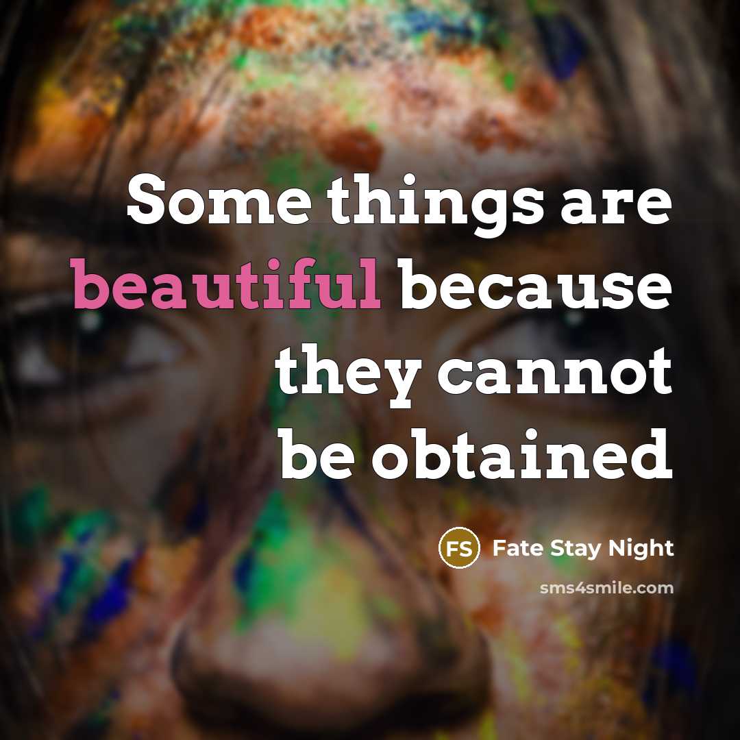 “Some things are beautiful because they cannot be obtained” quote by Fate Stay Night