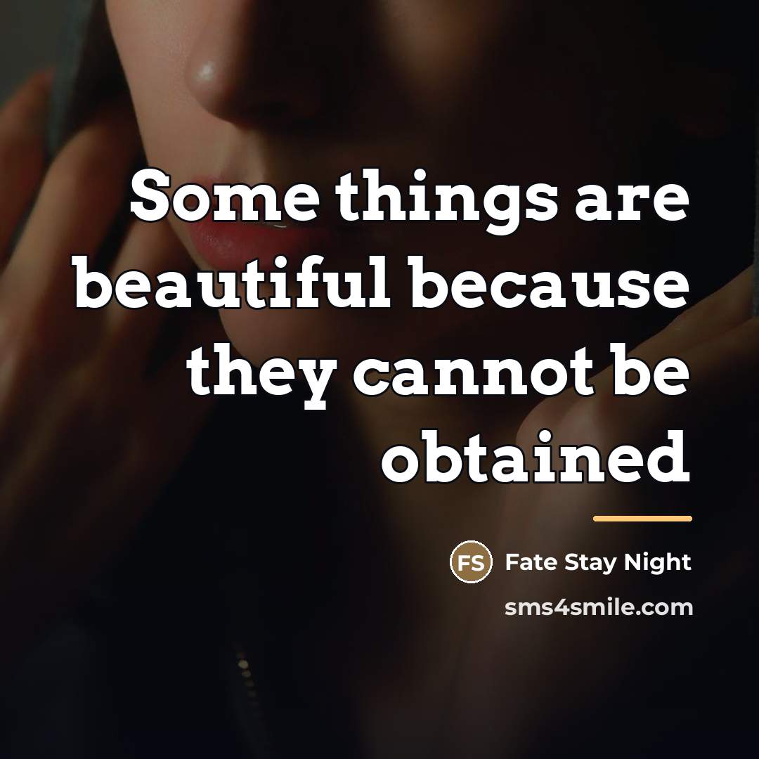 “Some things are beautiful because they cannot be obtained…” quote by Fate Stay Night