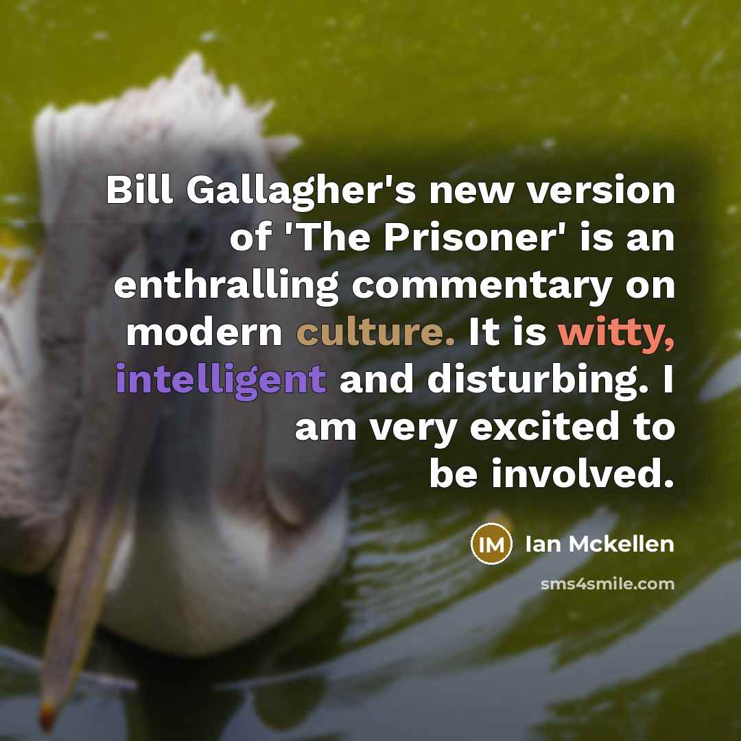 “Bill Gallagher's new version of 'The Prisoner' is an enthralling…” quote by Ian Mckellen
