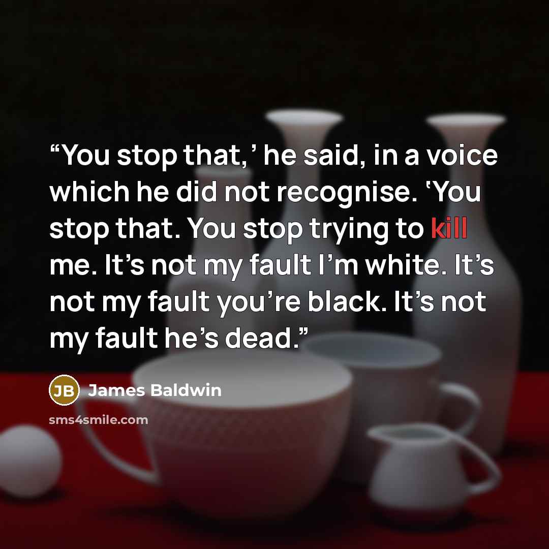 “You stop that,’ he said, in a voice which he did not recognise. ‘You stop that. You stop trying to kill me. It’s not my fault I’m white. It’s not my fault you’re black. It’s not my fault he’s dead.” quote by James Baldwin