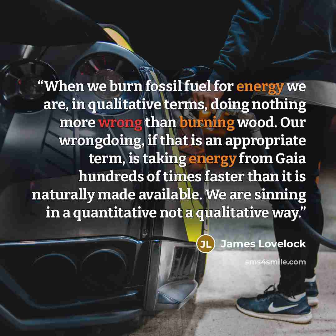 “When we burn fossil fuel for energy we are, in qualitative terms, doing nothing more wrong than burning wood. Our wrongdoing, if that is an appropriate term, is taking energy from Gaia hundreds of times faster than it is naturally made available. We are sinning in a quantitative not a qualitative…” quote by James Lovelock